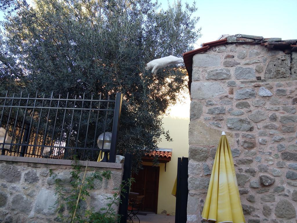 Aristonicus Boutique Hotel Bergama Exterior foto